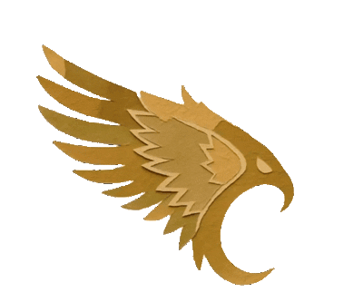 Golden Eagles Academy
